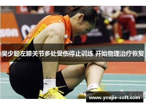 吴少聪左膝关节多处受伤停止训练 开始物理治疗恢复